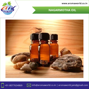 Nagarmotha ธรรมชาติบริสุทธิ์ (Cyperus rotundus) น้ำมันหอมระเหยสำหรับน้ำมันหอมระเหยผิวผมและการรักษาธรรมชาติ | ขายส่งจำนวนมาก - Product Image 2