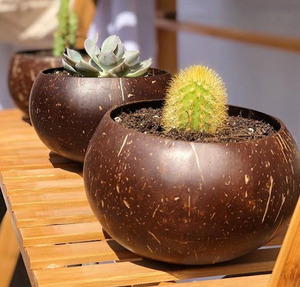 Cuencos de cáscara de coco hechos a mano, cuencos de cáscara de coco lacados, vietnamita, 100% Natural - Product Image 4