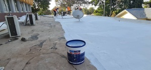 ISONEM-Membrane de toiture en acrylique liquide, design moderne, MS POLIA, haute qualité et rentable - Product Image 2