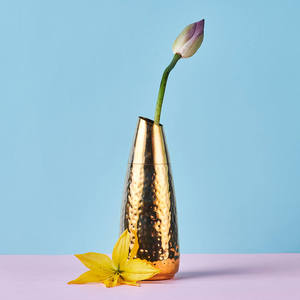 Pot de fleurs en laiton créatif décoration de jardin maison sol décoratif grand bonsaï ciment pots de fleurs à vendre - Product Image 4