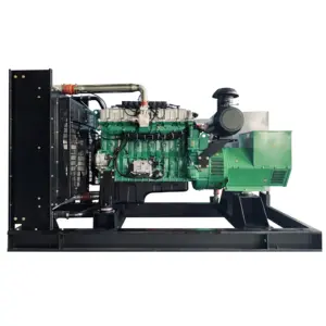 250kw Aardgas Generator