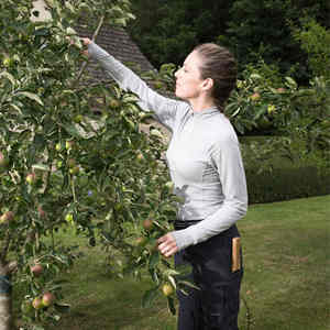 Pantalones informales de poliéster y nailon para mujer y hombre, prenda de vestir, de cinco colores, con conchas largas, OEM, servicio personalizado, tallas personalizadas, venta al por mayor - Product Image 6