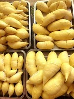 Diepvries Durian Fruit IQF Vriesproces Vacuümverpakking 2 Jaar Houdbaarheid Nieuwe Competitieve Prijs Uit Vietnam