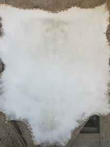 Piel de pergamino vitela | blanqueada semiblanca - Product Image 6