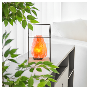 Wholesale Eco-Friendly <b>Pink</b> Himalayan <b>Salt</b> <b>Lamp</b> IMPEX PAKISTAN Carved Feng Shui Style Decoration Flame Effect Natural Crafts - Product Image 3
