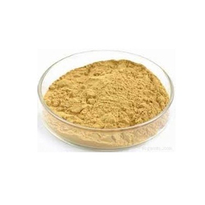 Poudre de Chèvrefeuille 100% Jaune Brun Vietnam 2024 Vietdelta Akina Durée de Conservation 6-12 Mois - Product Image 1