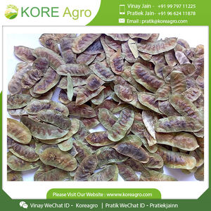 Hojas y vainas de senna 100% naturales, secadas al sol, de primera calidad. Compre en India a precio económico. - Product Image 4