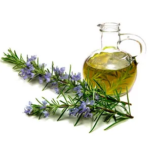 Global Exporter Of Rosemary Oil with 100% Purity and High Quality Organic Certified Essential Oil Suppliers