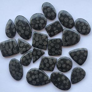 20mm 30mm naturel noir fossile corail pierre semi-précieuse taille libre Cabochon Lot par kilogramme en gros du fabricant direct - Product Image 4