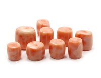 Coral blanc japonais naturel en forme de tube, de 112x13 mm à 18x19 mm environ, qualité supérieure