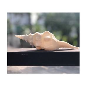 Lot de 100 coquillages polis blancs, pierres naturelles artisanales, bon prix, du Vietnam - Product Image 5