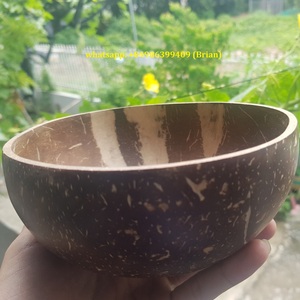 Tốt nhất bán Chất lượng cao dùng một lần vỏ dừa bát muỗng thiết lập mô hình tùy chỉnh thân thiện với môi màu xanh lá cây trong tương lai phim hoạt hình kem - Product Image 3