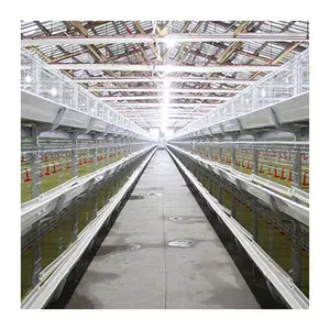 2019 new type automated layer chicken cage two people can raise 60,000 layer chickens