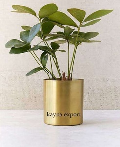 Soporte para Macetas de Metal Moderno Vintage Chapado en Latón, Decorativo de Lujo para Piso, Acabado Dorado con Recubrimiento de Polvo Negro, Macetero Único - Product Image 2