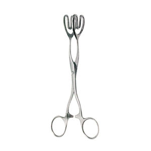 Houze Pinces chirurgicales en acier inoxydable de haute qualité Instruments manuels de maintien et de saisie de la langue - Product Image 2