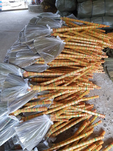 Manche à balais d'herbe longue/pampa, poils d'herbe de maïs/tigre - Product Image 5