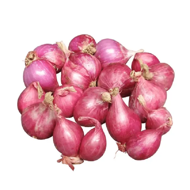 Vietnam frische rote Zwiebel in loser Schüttung in die VAE, USA, EU-Großhandel für frische Zwiebeln/weiße Zwiebeln-Großer Verkauf für kleine Zwiebeln