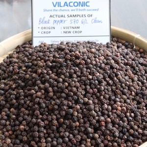 [Keith Vilaconic] พริกไทยดำเวียดนามความหนาแน่นสูง 570 กรัม/ลิตร ASTA - เม็ดพริกไทยคุณภาพเยี่ยม - พรีเมียมสำหรับส่งออกต่างประเทศ - Product Image 3