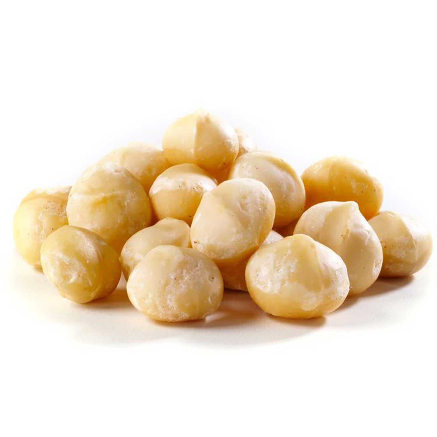 Macadamia Nuts in Shell