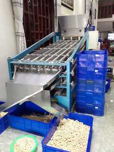 Noix de cajou du Vietnam de qualité supérieure, frites, séchées, entières, blanches, en-cas, haute qualité, prix bas - Product Image 5