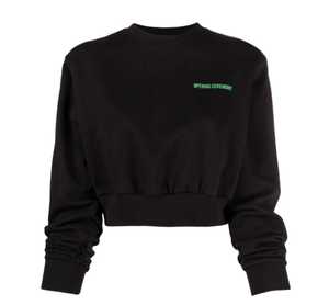 Top corto de rizo de manga larga para mujer de alta calidad, sudaderas con capucha personalizadas, jersey con logotipo propio, sudadera para mujer, colección de logotipo propio - Product Image 3