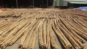 MATÉRIAU DE POLE EN ROTIN NATUREL pour MEUBLES - POLE EN ROTIN DU VIETNAM - POLE EN ROTIN POLI  WS0084587176063 - Product Image 6