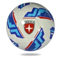 Ballon de football de qualité supérieure, bon marché, fabriqué en usine, personnalisé, 32 panneaux, revêtement TPU, taille 3/4/5 pour les matchs, fabriqué par Reema Technologies
