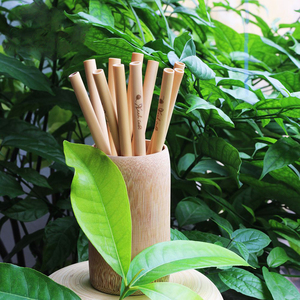 Wholesale bamboo straws, well packing bamboo straw, 100% eco-friendly bamboo straws from Vietnam - Product Image 2