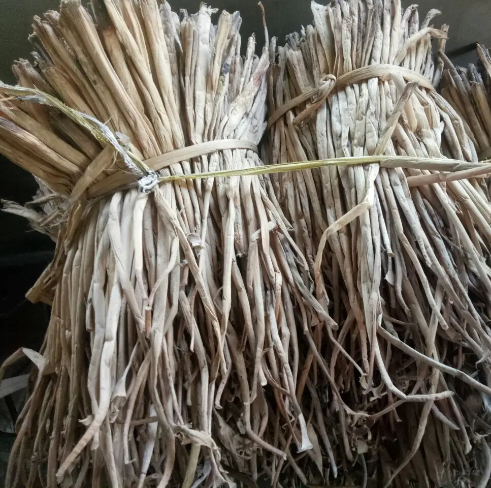 Mayorista de hojas de palma secas y jacinto de agua para la industria artesanal