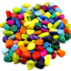 Perles d'aquarium colorées de qualité supérieure, 100 pièces, mélange de couleurs, chips pour le jardinage, galets de couleurs