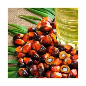 2022 Refined Palm Oil / Palm Oil / Palm Cooking Oil Wholesale Best Grade