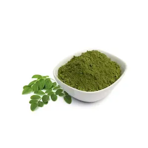 Werkseitige Lieferung Moringa Olerfera Blätter Extrakt Pulver in Kräuter extrakt