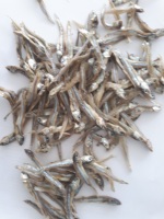 Morces de poisson scad blanc séché IQF, emballage naturel en vrac, 100% frais, qualité A, OEM-Seafood(at)linda(dot)com -W/S 0084 9989 322 607