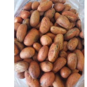 GMBH น๊อตโคล่าขมสไตล์เยอรมันเกรดพรีเมี่ยมสำหรับผู้ป่วยโรคเบาหวานขนาด10กก. ถุงยุโรป - Product Image 4