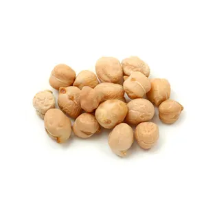 Garbanzos secos de alta calidad, precio competitivo, garbanzos kabuli