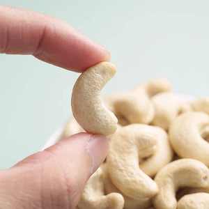 Grade a High Quality Cashew Nuts Price in Panruti Canada Broken Cashew Nut Cashew Nut Kernel W240/W320/W450 - Product Image 6