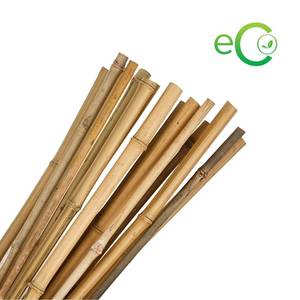 แท่งไม้ไผ่ธรรมชาติสำหรับพืช Eco2go จากเวียดนามแท่งไม้ไผ่ธรรมชาติ - Product Image 4