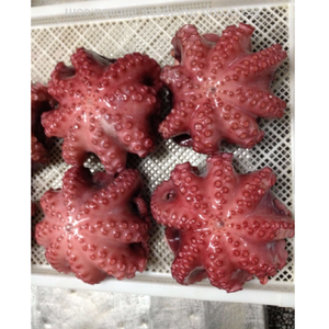 Poulpe bouilli congelé entier nettoyé, qualité sashimi, poulpe de mer, exportation de Singapour, prêt à la vente en gros, poulpe mariné - Product Image 5