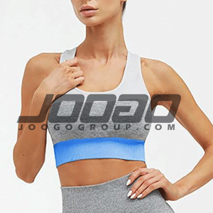 2024 gran oferta ropa activa transpirable fitness deportes gimnasio camiseta sin mangas ropa deportiva correr yoga sujetador - Product Image 1