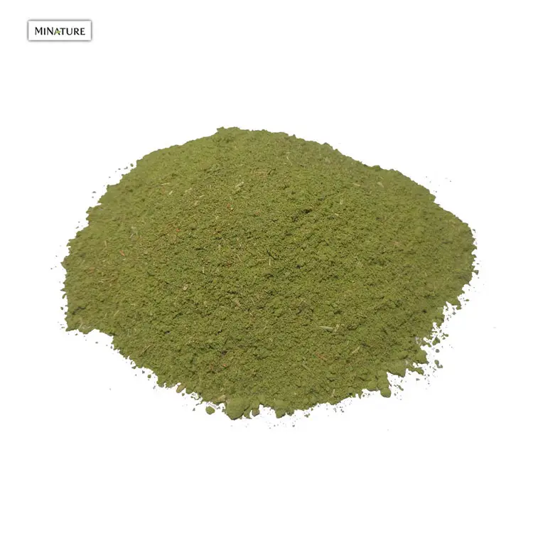 100% Pure Certified Herbal Extract SIDR Leaves Powder