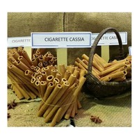Poudre de cannelle cassée séchée AD pure et brute du Vietnam, haute qualité, certifiée HACCP, durée de conservation de 24 mois / Shyn Tran