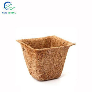 Productos verdes naturales de alta calidad, maceta de fibra de cáscara de coco con patrón crudo, buena para cultivar macetas de flores - Product Image 6