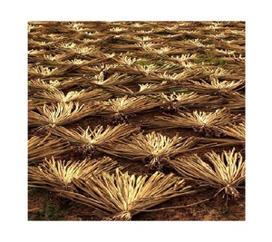 HIGH QUALITY DRY WATER HYACINTH BEST PRICE <b>DRIED</b>/ WATER HYACINTH FROM VIETNAM // Rachel: +84896436456 - Product Image 1