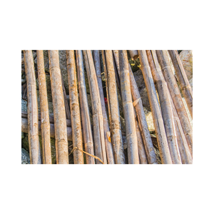 Tube de poteau en bambou au meilleur prix du Vietnam Matériau en bambou naturel durable de haute qualité pour de multiples applications - Product Image 3