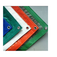 Taille personnalisée 100% Bâche HDPE étanche Feuille de plastique PE robuste en PE coloré avec services d'impression et de découpe