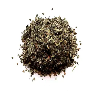 Moringa (Moringa oleifera) -il tè può essere ricco di vitamine e minerali ricchi di aminoacidi