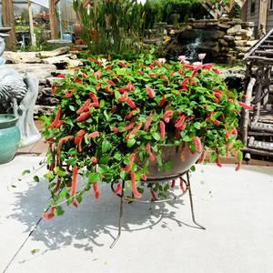 Florero de Metal para decoración del hogar, florero decorativo para la cocina, mesa de centro de mesa, soporte para flores - Product Image 2