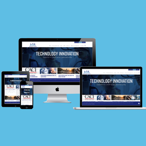 Website Development Company in India | Hire Website Developers | Award Winning Website Development Services by Webroot Infosoft - Product Image 3