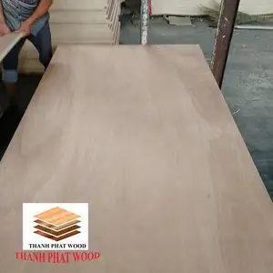 Pencil Cedar faced plywood 1220*2440mm *18mm/ film face plywood for construction