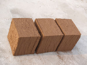 BAGASSE SILAGE/ DÉCHETS DE CANNE À SUCRE BAGASSE/ DÉCHETS AGRICOLES - Product Image 2